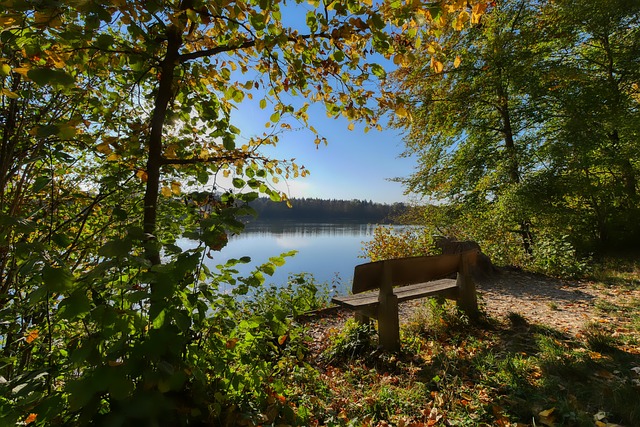 卢卡库的存 卢卡库的存