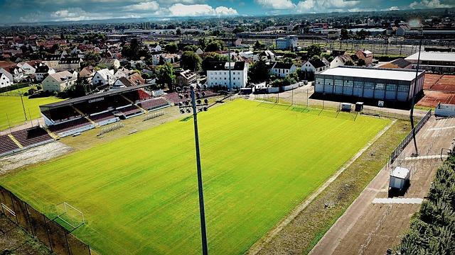 这种战术的 这种战术的