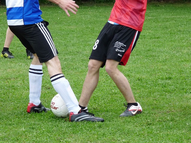 精致的艺术 精致的艺术