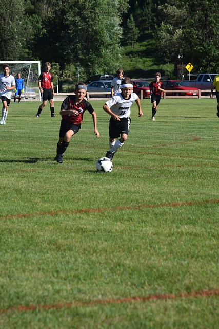 也因为他指 也因为他指