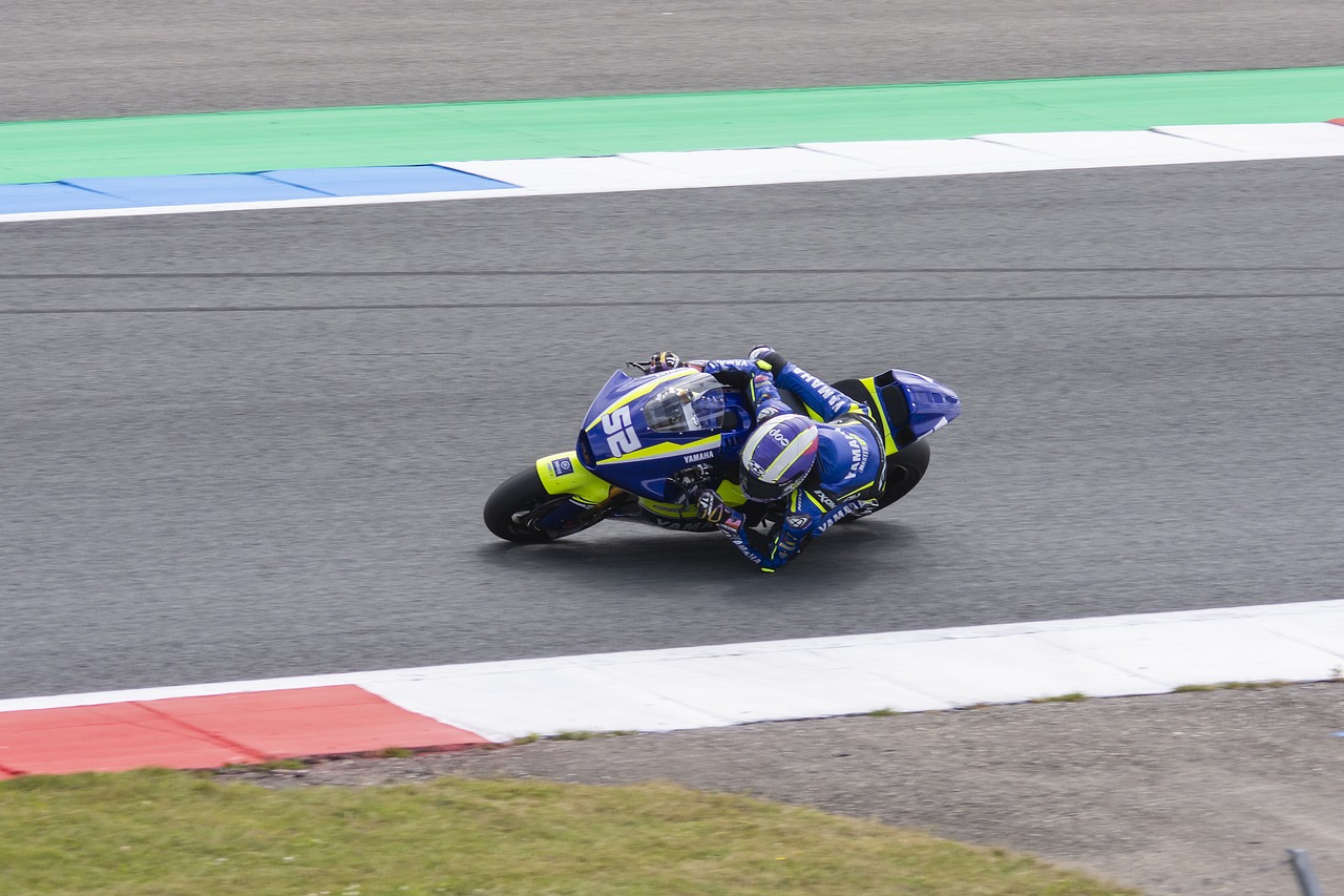 了新鲜活力 了新鲜活力