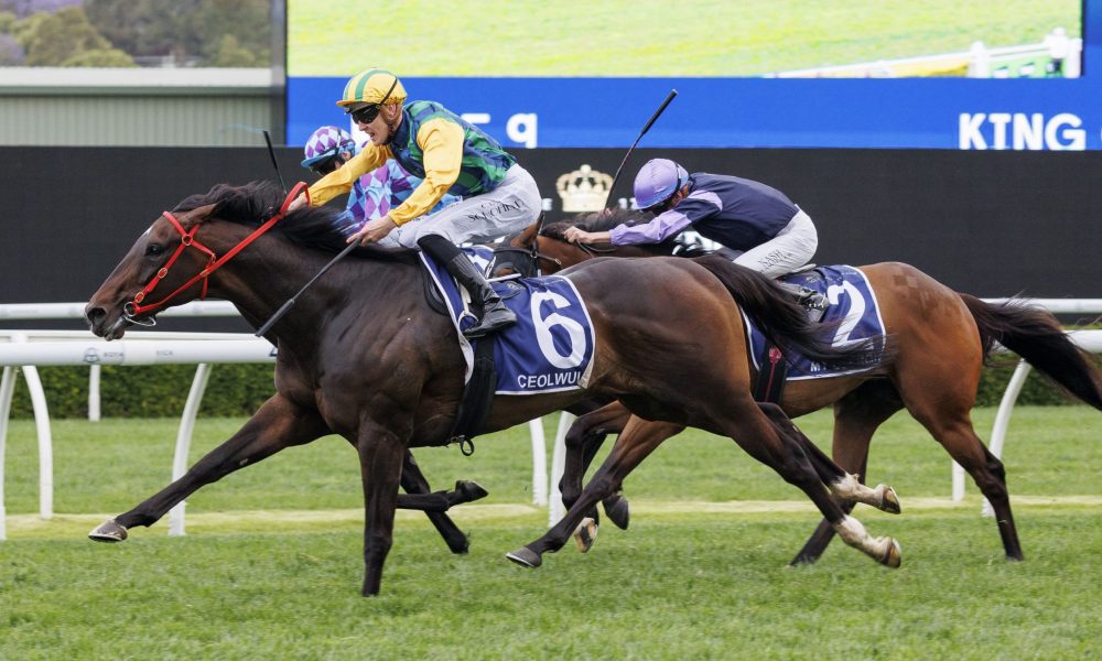 王岳伦独自送女儿回英国，王诗龄拿2wLV行李包，身形壮实又胖了.